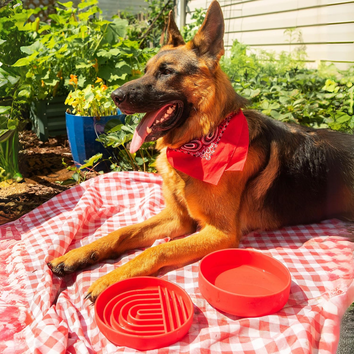 Slow Feeder Dog Bowl - Silicone Dog Bowl, Medium, 7.5" x 1.5" - Cherry