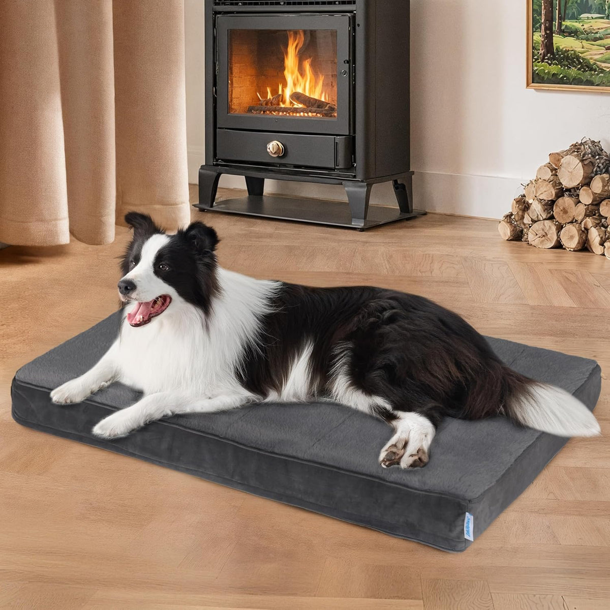 Dog Bed for Large Dog, Orthopedic Pet Beds with Memory Foam
