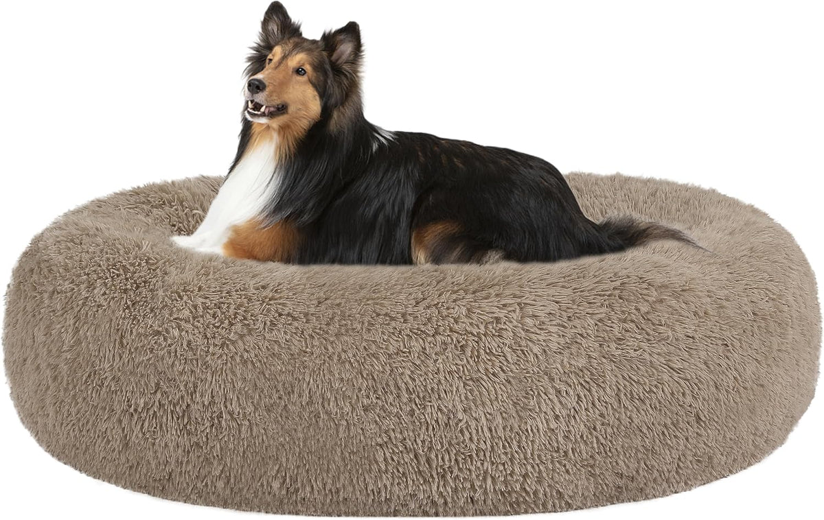 Dwanton Orthopedic Medium Donut Dog Bed, Gel Memory Foam, Washable, 32"