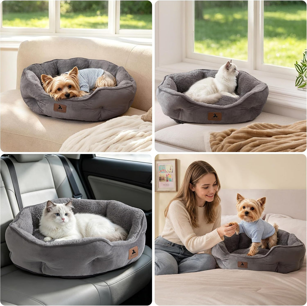 Asvin Medium Dog Bed for Medium Dogs, Cat Beds for Indoor Cats, Pet Bed for Puppy and Kitty, Extra Soft & Machine Washable with Anti-Slip & Water-Resistant Oxford Bottom, Grey, 25 inches