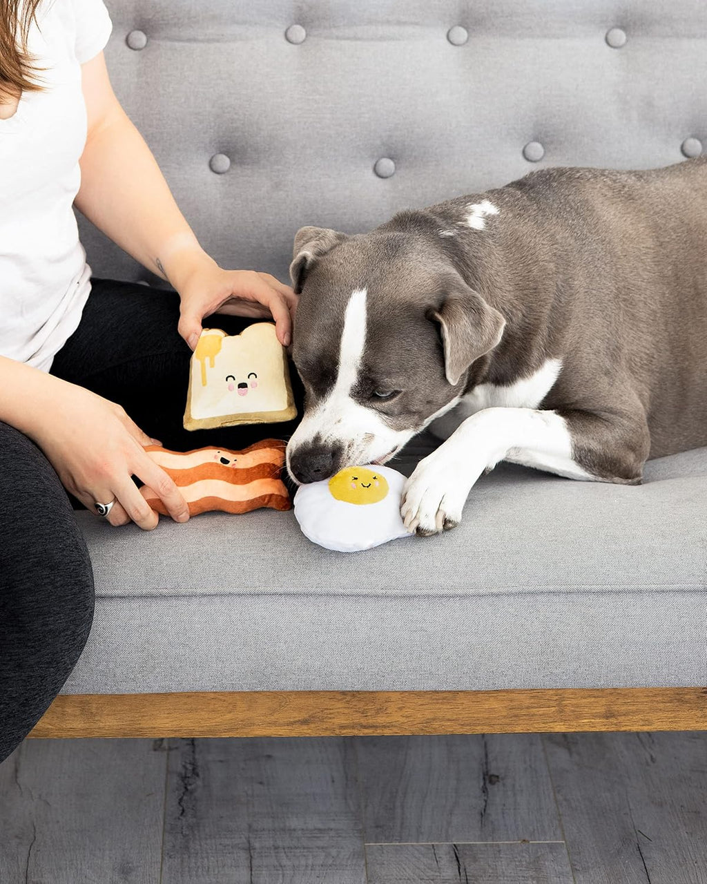 Pearhead Breakfast Dog Toy Set - 3-Piece Bunch Food Theme (Egg