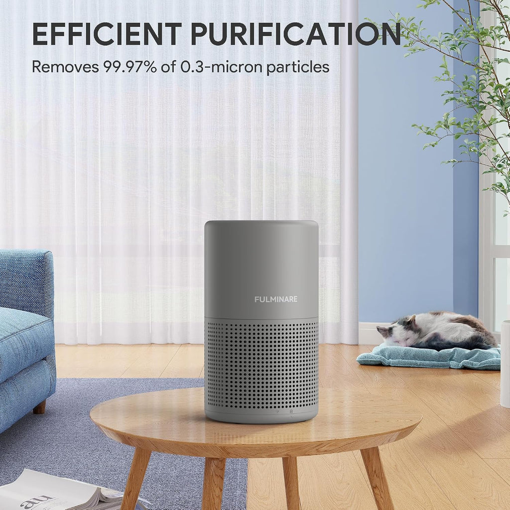 Air Purifiers for Bedroom, FULMINARE H13 True HEPA Filter (Gray 2 Pack)