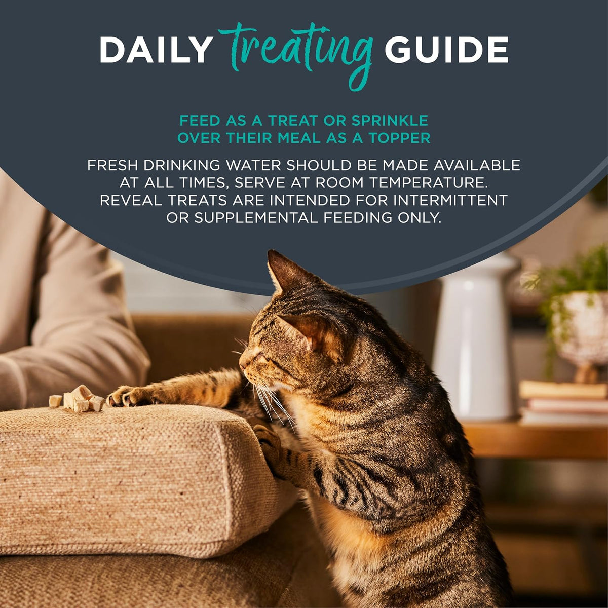 Reveal Tuna Freeze-Dried Cat Treats 8-Pack 0.88 oz Bags