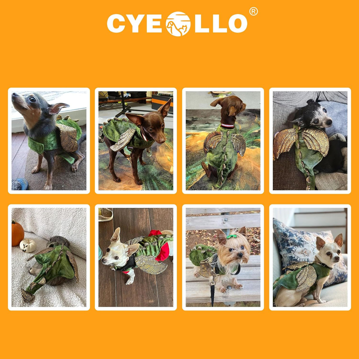 cyeollo Dinosaur Halloween Costume for Rabbit Bunny Puppy Kitten 2lb to 4lb