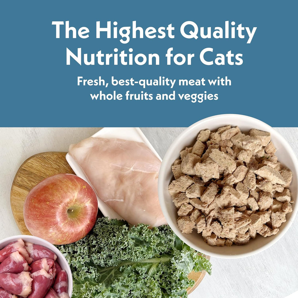 Fresh Is Best Chicken Freeze Dried Cat Food – High-Protein Raw Chicken
