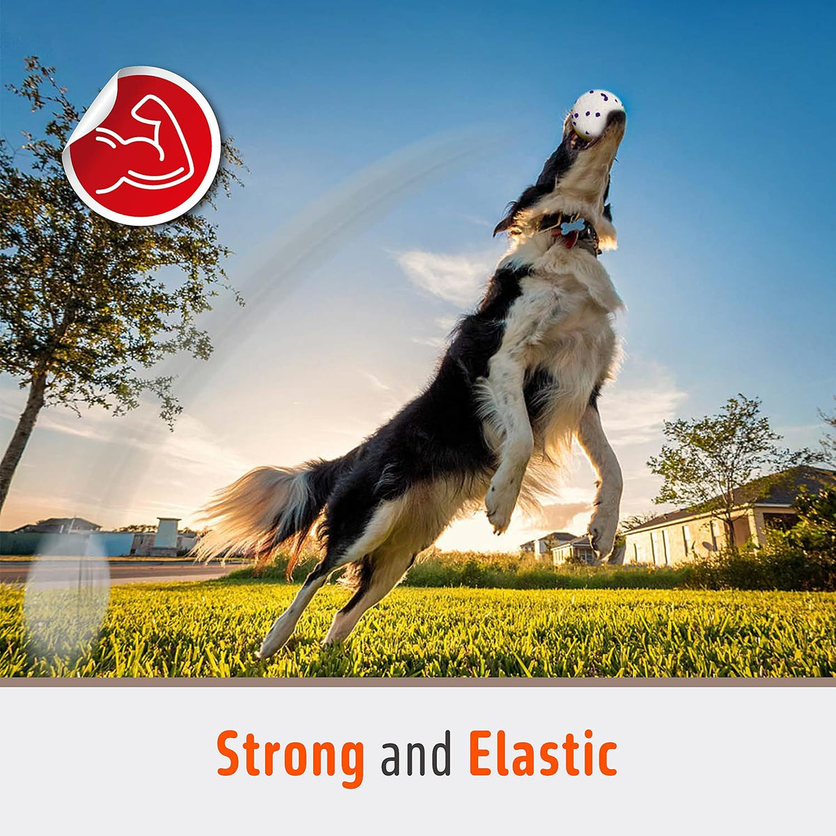 FOFOS Dog Balls Tennis Balls Dog Chew Toys for Aggressive Chewers ETPU 4Pcs | Indestructible Dog Balls Teething Dog Chew Toys Floating Water Balls Interactive Fetch Ball Gift for Small Large Medium Dogs