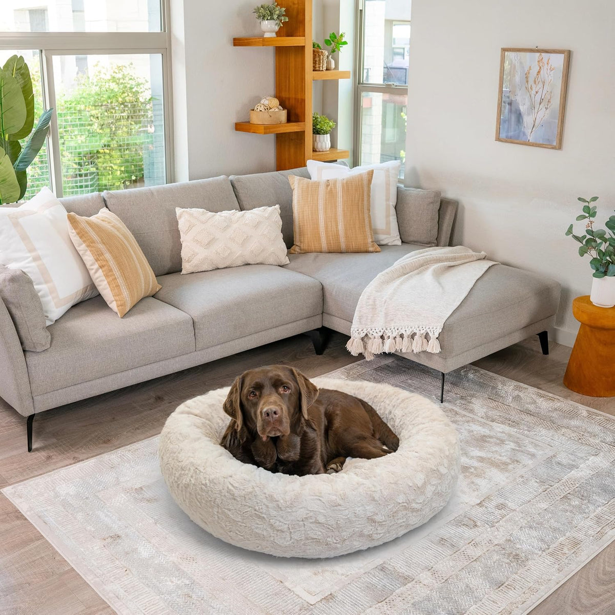Best Friends by Sheri Original Calming Donut Dog Bed, Oyster, Large, 36"