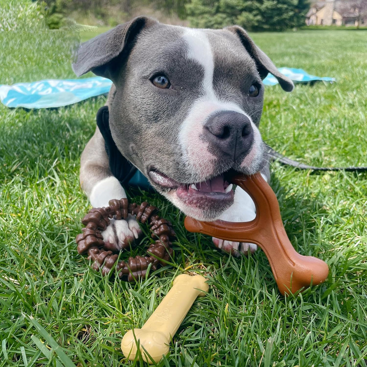 Nylabone Power Chew Customer Favorites Dog Chew Toys, 3 Count, Small | Flavor Medley, peanut butter, and beef flavor, durable dog toys for aggressive chewers, for large breeds up to 25 lbs