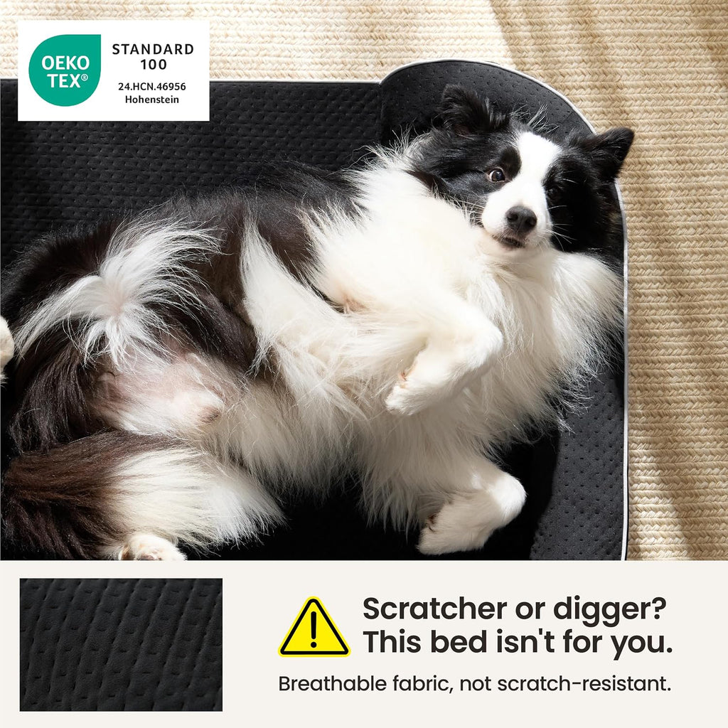 LE SURE RealOrtho™ XL Plus 3-Layer Orthopedic Extra Large Dog Bed,48" Black