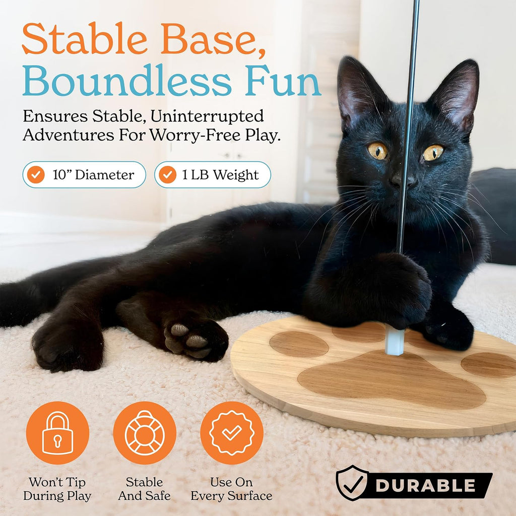 Cat Toys For Indoor Cats: Interactive Cat Toy Wand, 9 Feathers Wand Lures