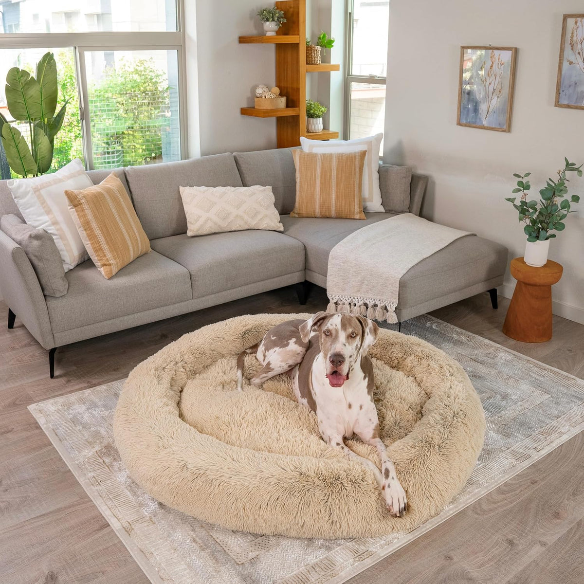 Best Friends by Sheri The Original Calming Donut Dog Bed – Washable Plush Pet Bed for XXL Breeds up to 210 lbs, Shag Faux Fur, Taupe, XXL (54" x 54")