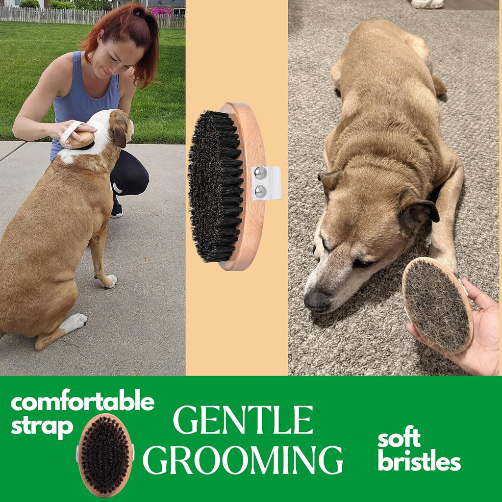 GranNaturals Soft Bristle Dog Brush for Short Haired Dogs & Cats w/Strap - Wooden Handle & Gentle Boar Bristles for Deshedding, Smoothing and Grooming Pet Hair Fur to Give Naturally Shiny Coat