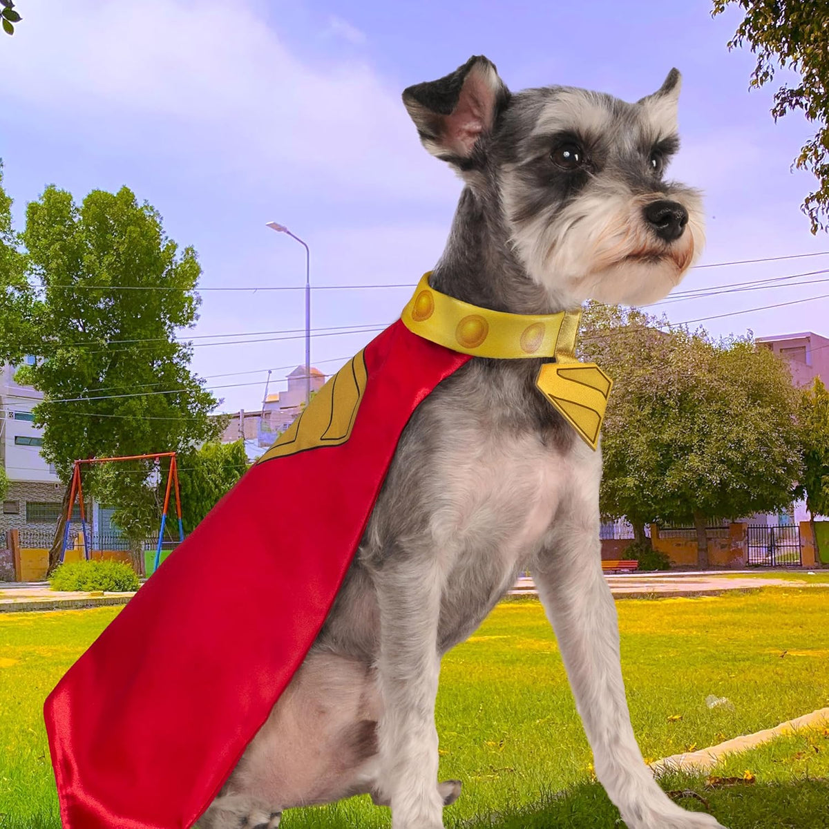 Rubies DC Superman Movie (2025): Krypto Pet Cape & Collar for Dogs or Cats, Extra Large