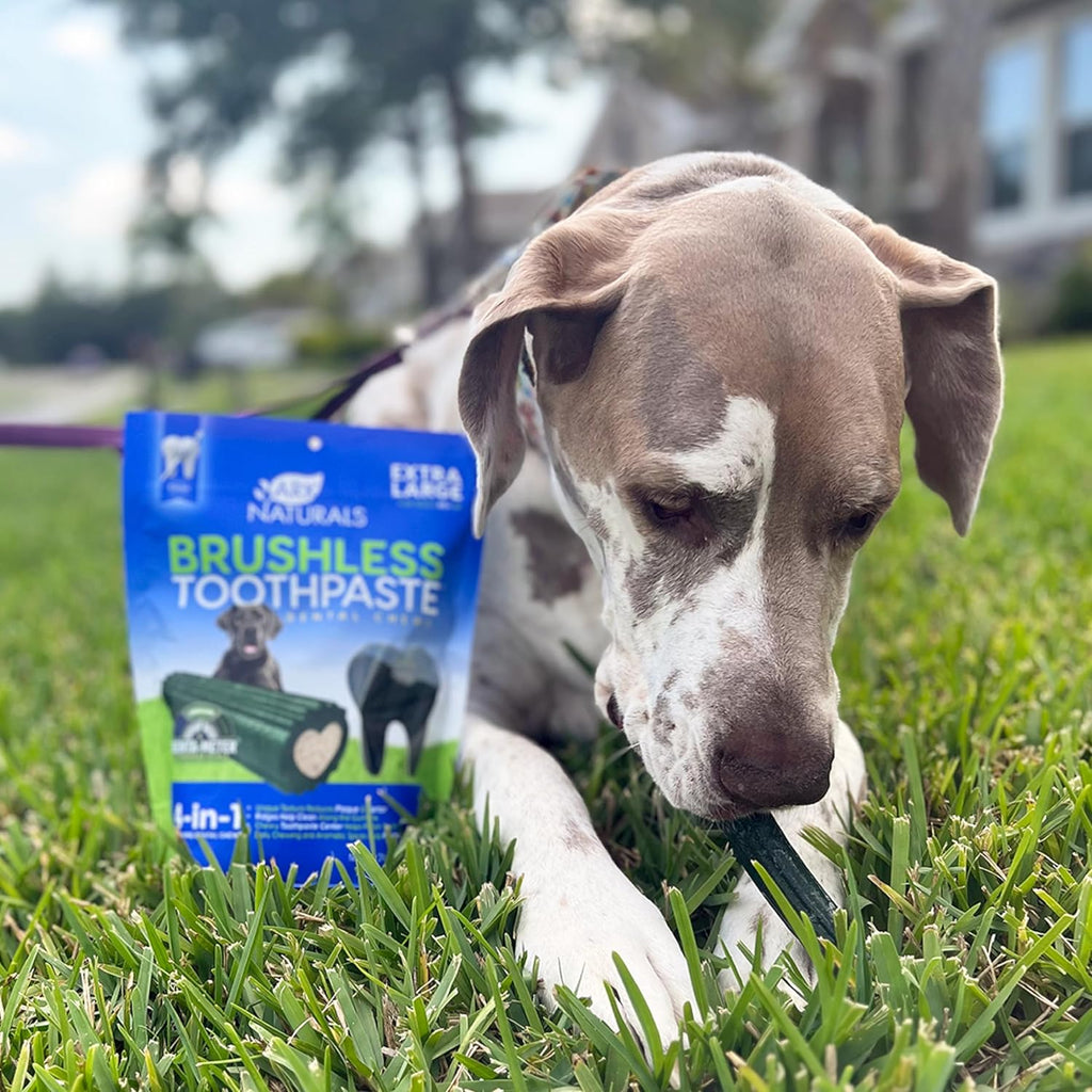Ark Naturals Brushless Toothpaste Dog Dental Treats - XL Breeds (12 ct), 24 Ounce (Pack of 6)
