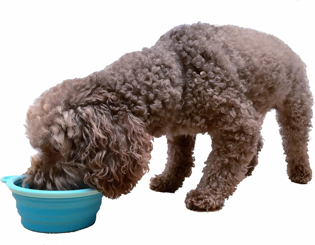 Prima Pet Expandable/ Collapsible Silicone Food & Water Travel Bowl with Clip for Small & Medium Dog and Cat, Size: 1.5 Cups (5.1 Inch Diameter Bowl) (AQUA) 