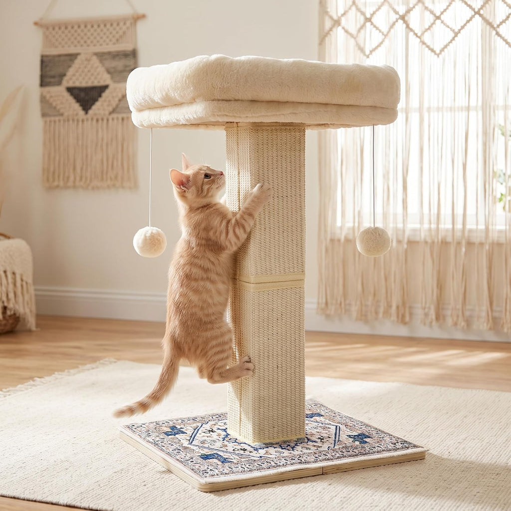 Cat Scratching Post with Bed for Indoor Adult Cats, Cat Perch,White
