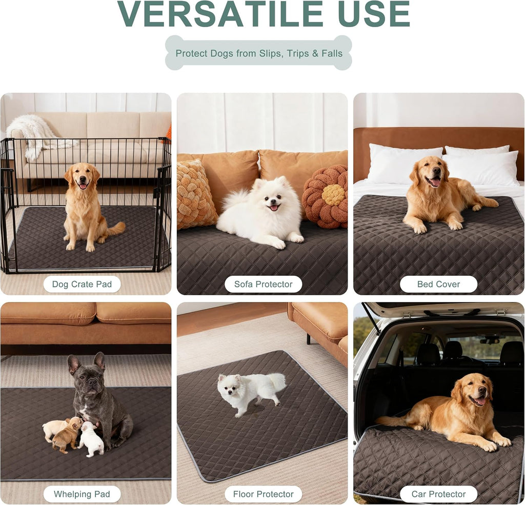 Eterish Reusable Washable Pee Pads for Dogs Large/Extra Large 36'' x 41'' 2 Pack, Absorbent Pet Puppy Dog Training Pads Non-Slip, Waterproof Whelping Potty Pads for Dogs Leak-Proof