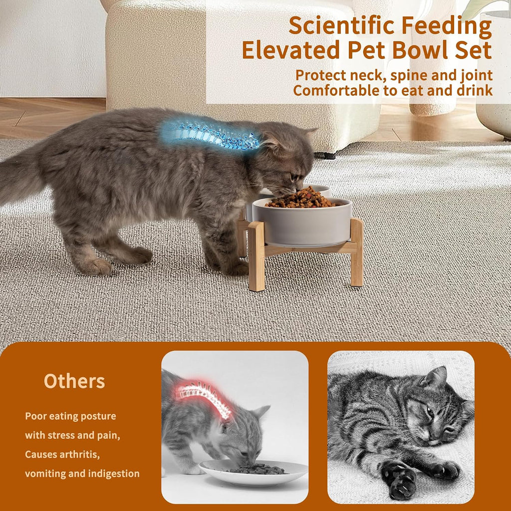 Elevated Ceramic Dog Bowl, 2 Cups Dog Food and Water Bowl Set with Stand | 5.1'' Double Dog Feeding Dishes, Non-Slip Raised Dog Feeder for Cats and Puppies, 16.23 OZ / 480 ML, White