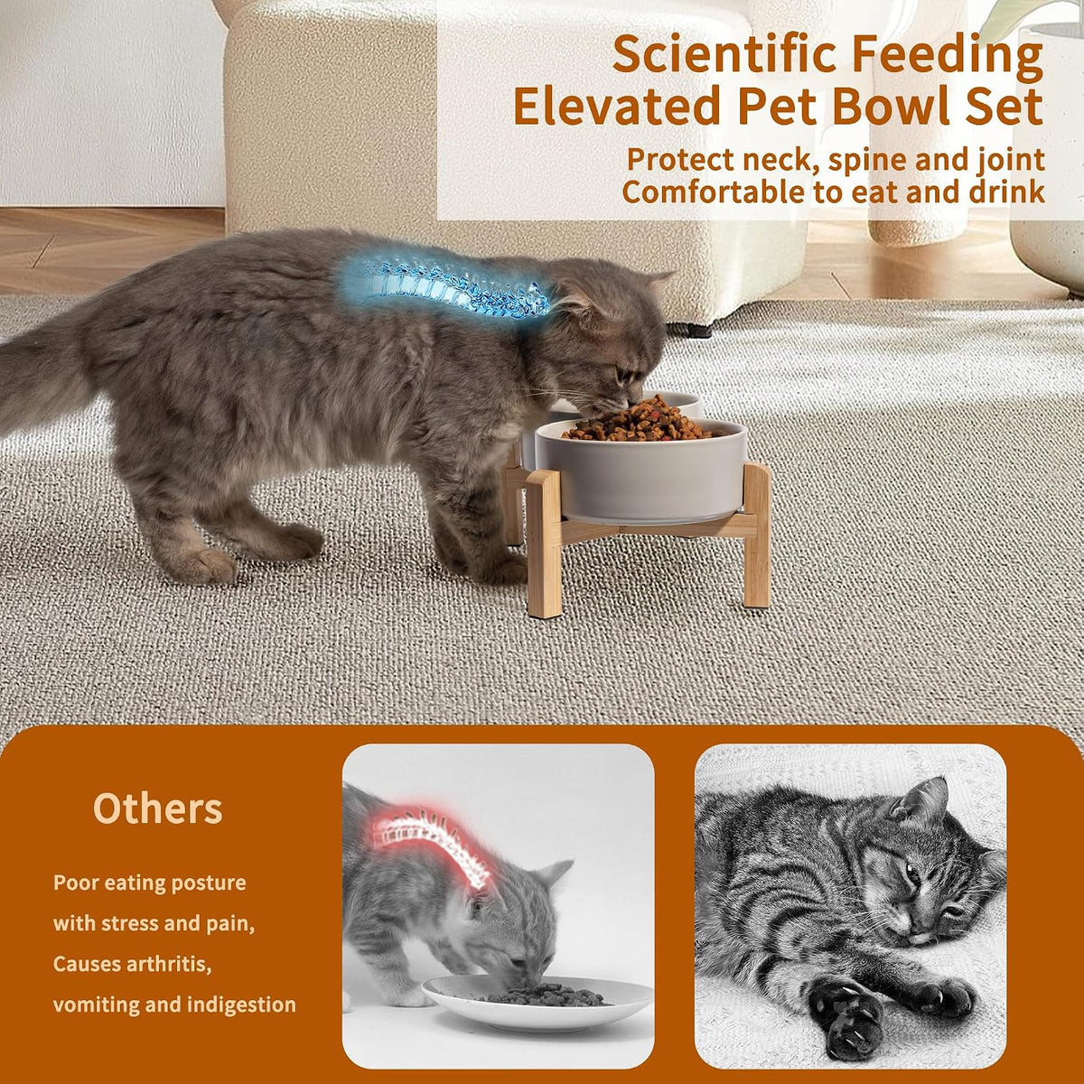 Elevated Ceramic Dog Bowl, 2 Cups Dog Food and Water Bowl Set with Stand | 5.1'' Double Dog Feeding Dishes, Non-Slip Raised Dog Feeder for Cats and Puppies, 16.23 OZ / 480 ML, White