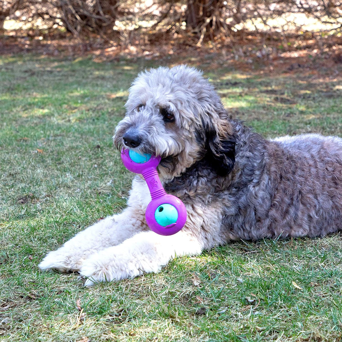Chew King Premium Throw Stick Dog Toy - Durable Natural Rubber Collection, Fetch and Tug Dog Toy, Pet Treat Toys for Boredom