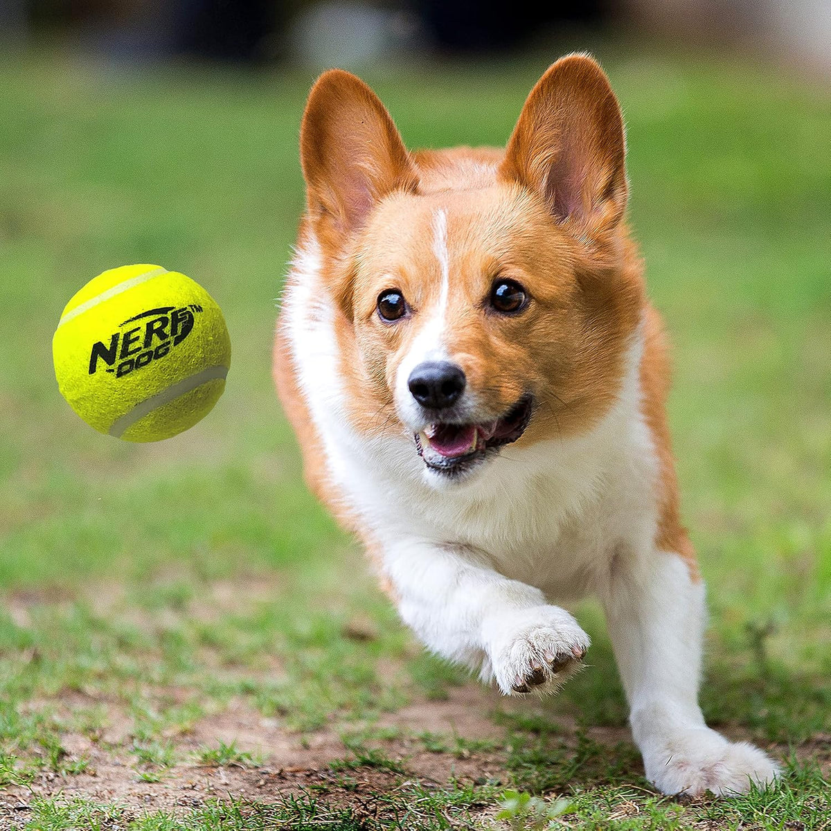 Nerf Dog Compact Tennis Ball Blaster Dog Toy, Great for Fetch, Hands-Free Reload, Launches up to 50 ft, Single Unit, Includes 3 Nerf Balls & Bag, Blue/Orange, Model: 5205